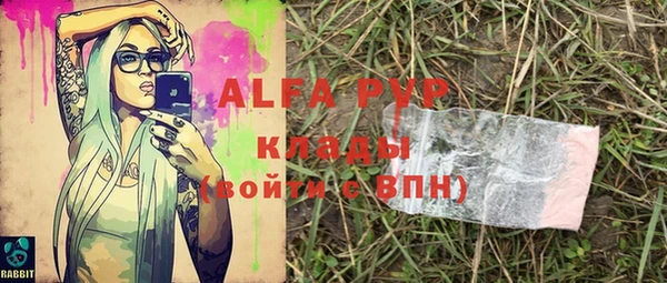 хмурый Алексеевка