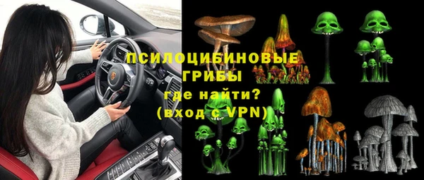 хмурый Алексеевка