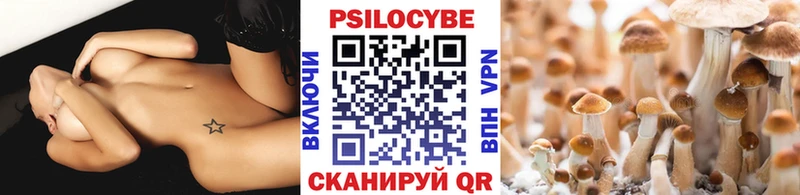 ОМГ ОМГ зеркало  Завитинск  Галлюциногенные грибы Cubensis 