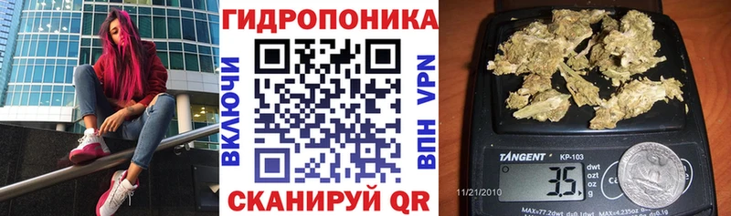 сайты даркнета как зайти сколько стоит Завитинск МАРИХУАНА Ganja